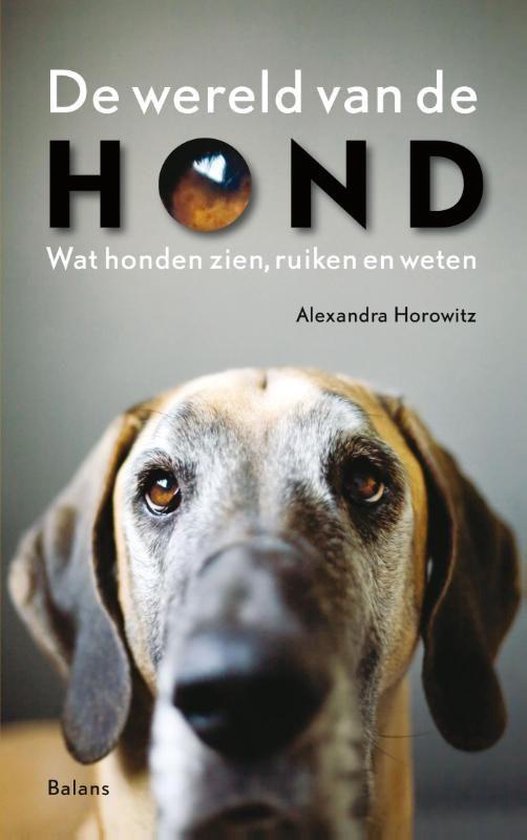 De beste e-books over honden van 2022. (opvoeding, puppy’s etc)