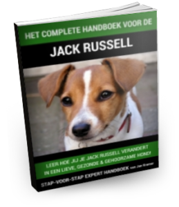Een Jack Russel Opvoeden? Review Jack Russel geheimen (handboek)